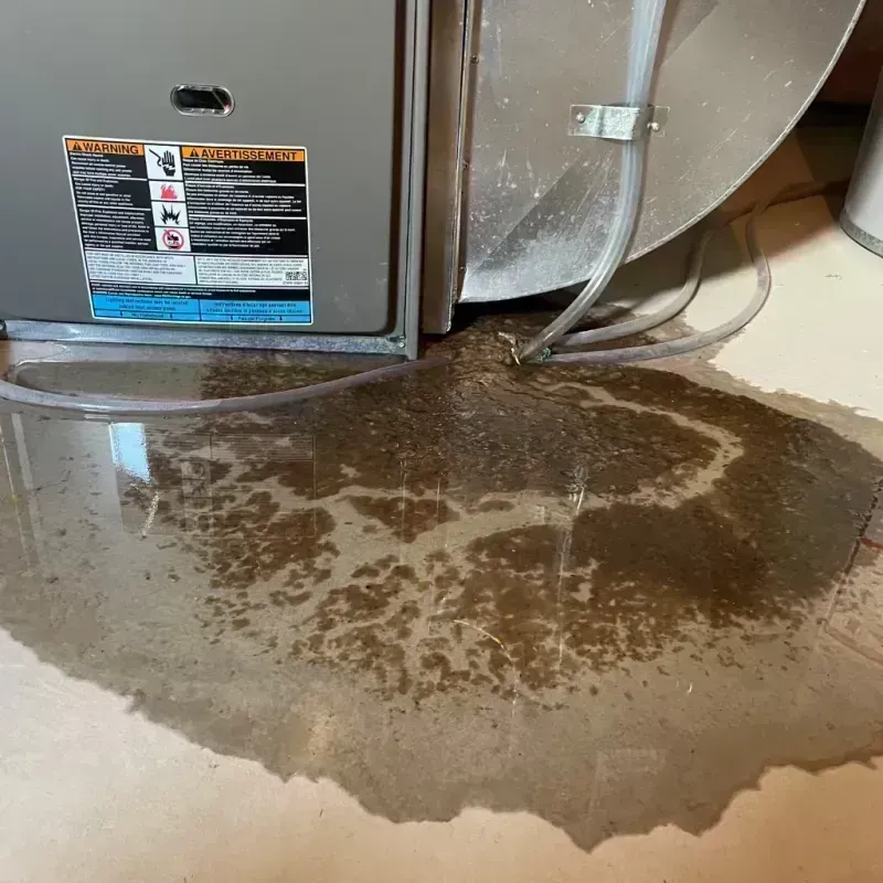 Appliance Leak Cleanup in Hyden, KY